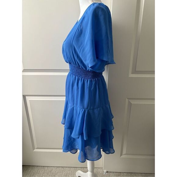 Taylor Chiffon Ruffle Dress - Picture 2 of 5